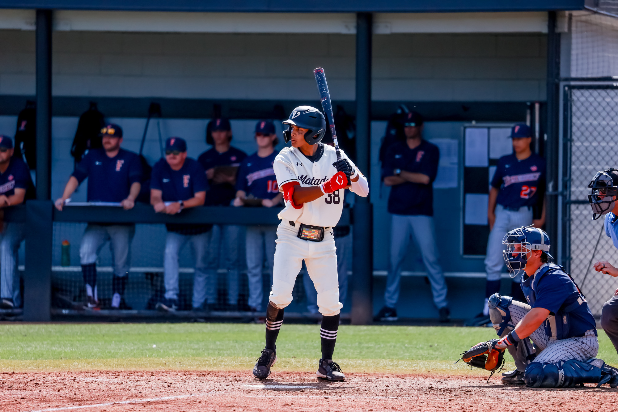 Brandon Leon 2024 Baseball CSUN Athletics