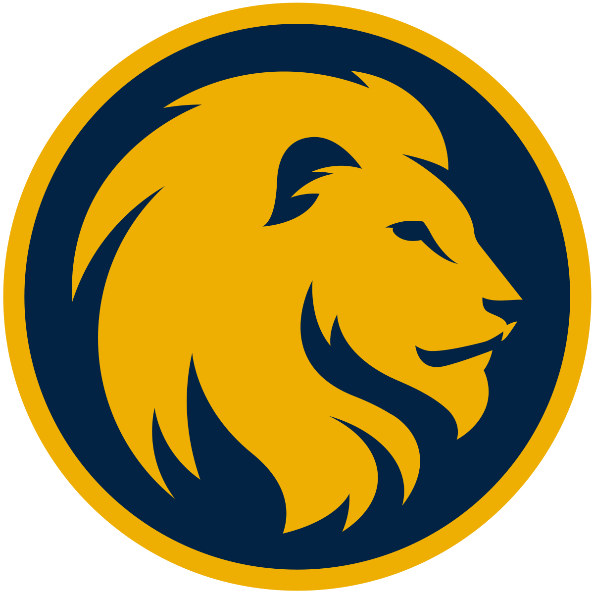 Opponent Logo