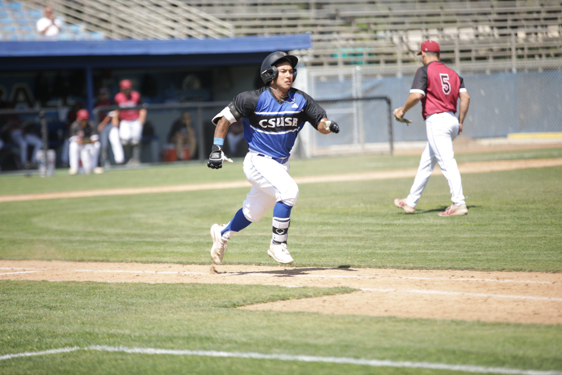 Brandon Galindo Baseball California State University of San
