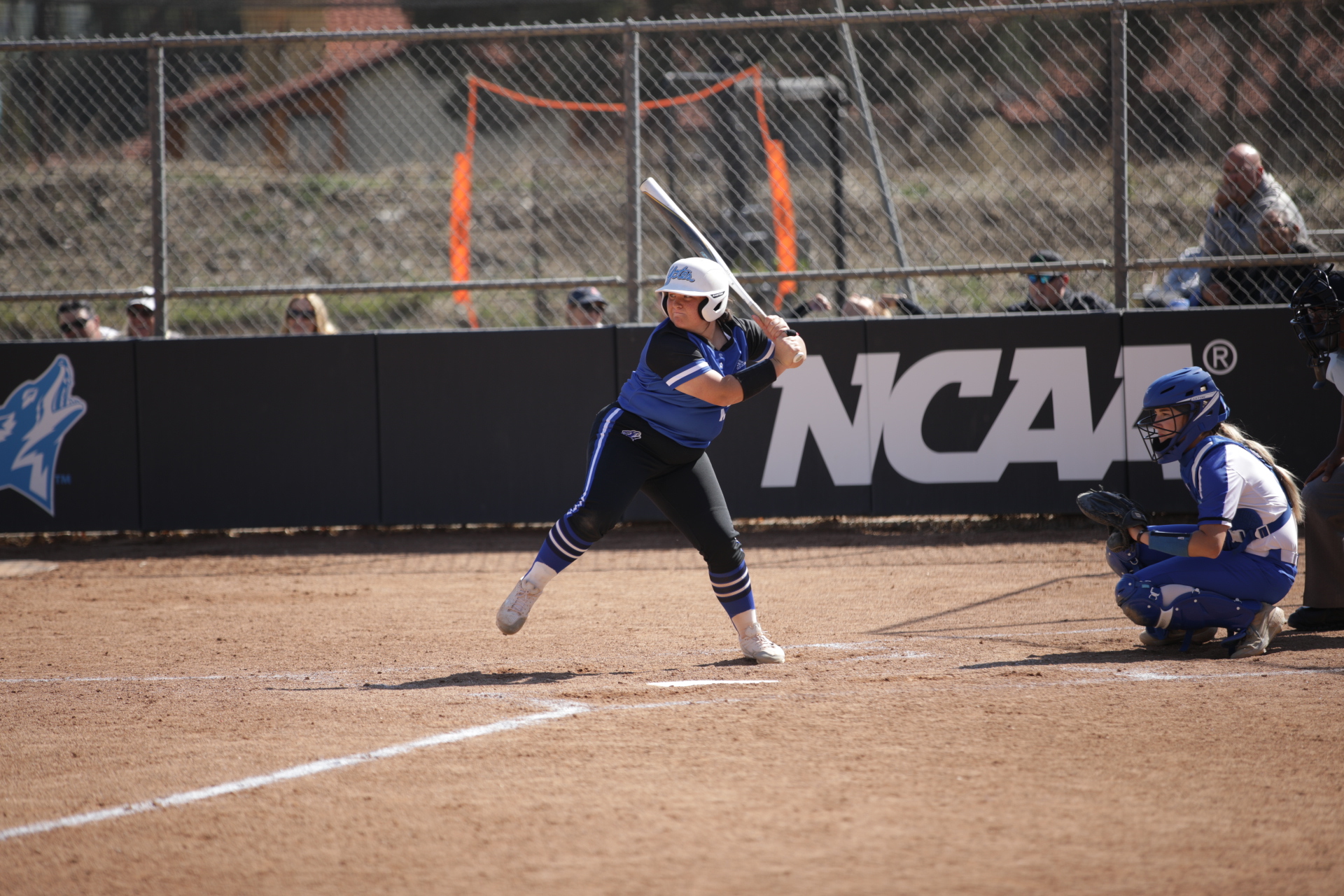 Bailey Wallace Softball California State University Of San 
