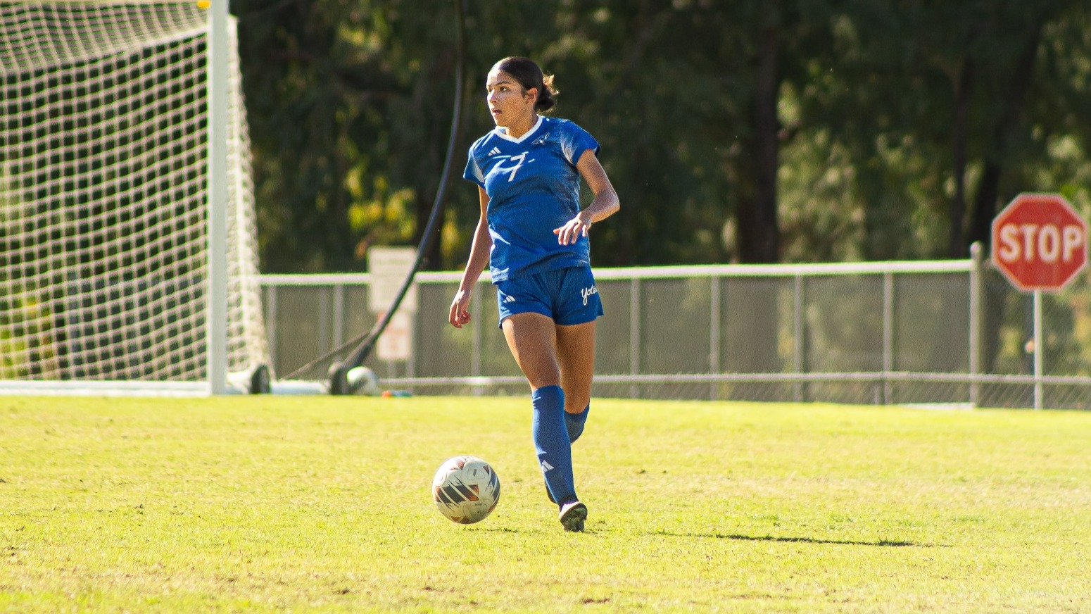 Raylene Alcaraz Humboldt