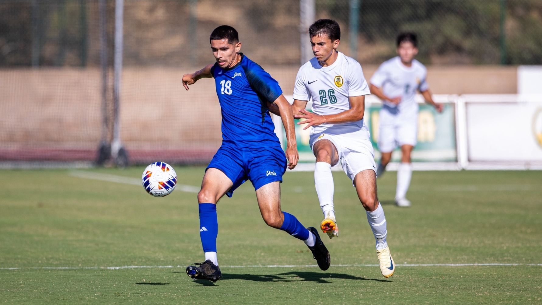Andrew Alonso Point Loma