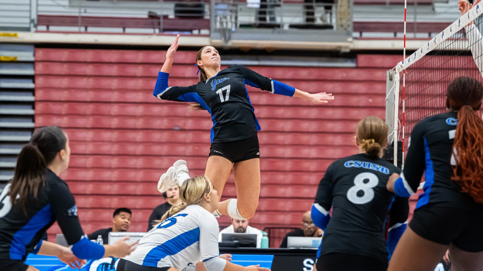 Kacie Pedersen Humboldt