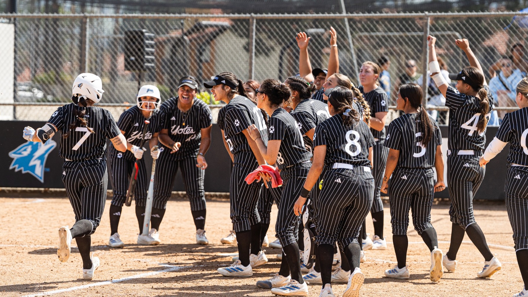 Goris HR Celebration Sonoma