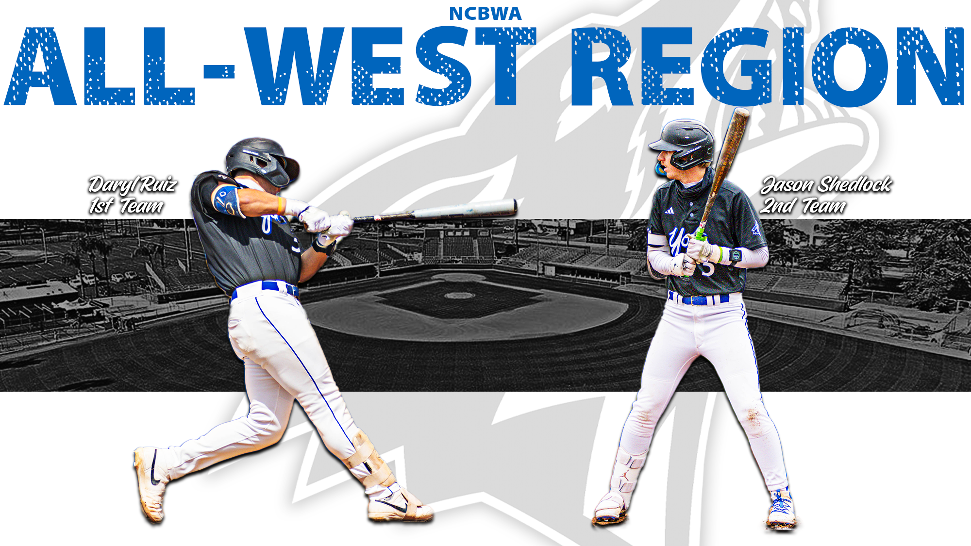 Baseball Region