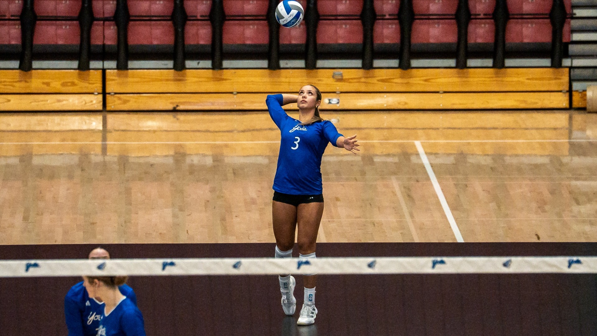Allison Legates Menlo