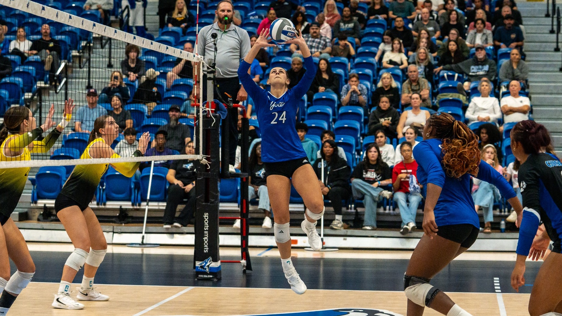 Jaiden Van Horn CSULA