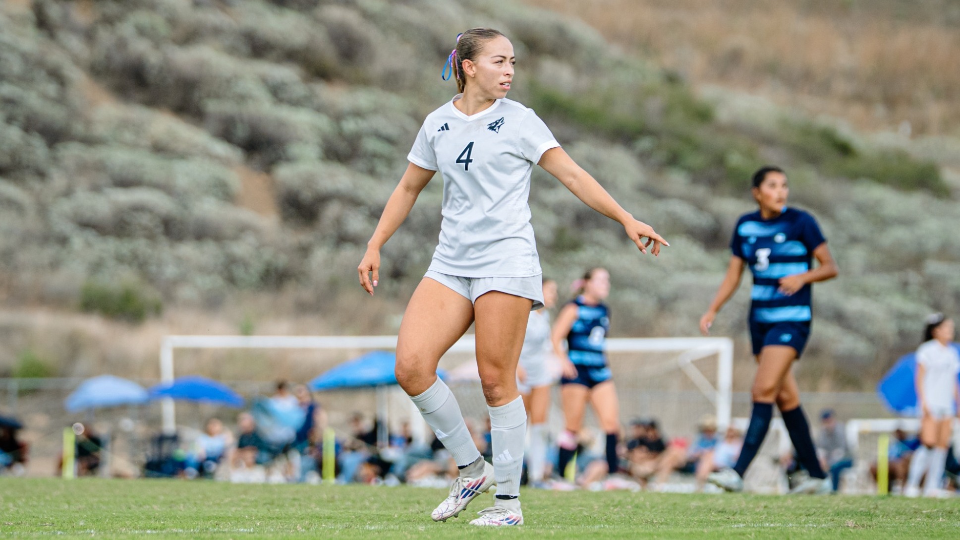 Alissa Torres Monterey Bay