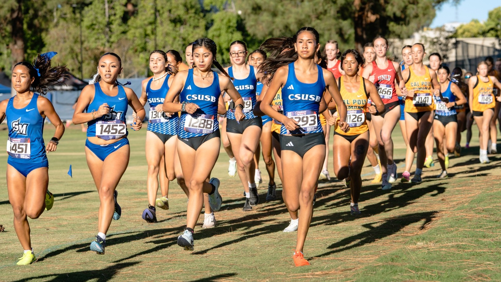 Start Coyote Challenge