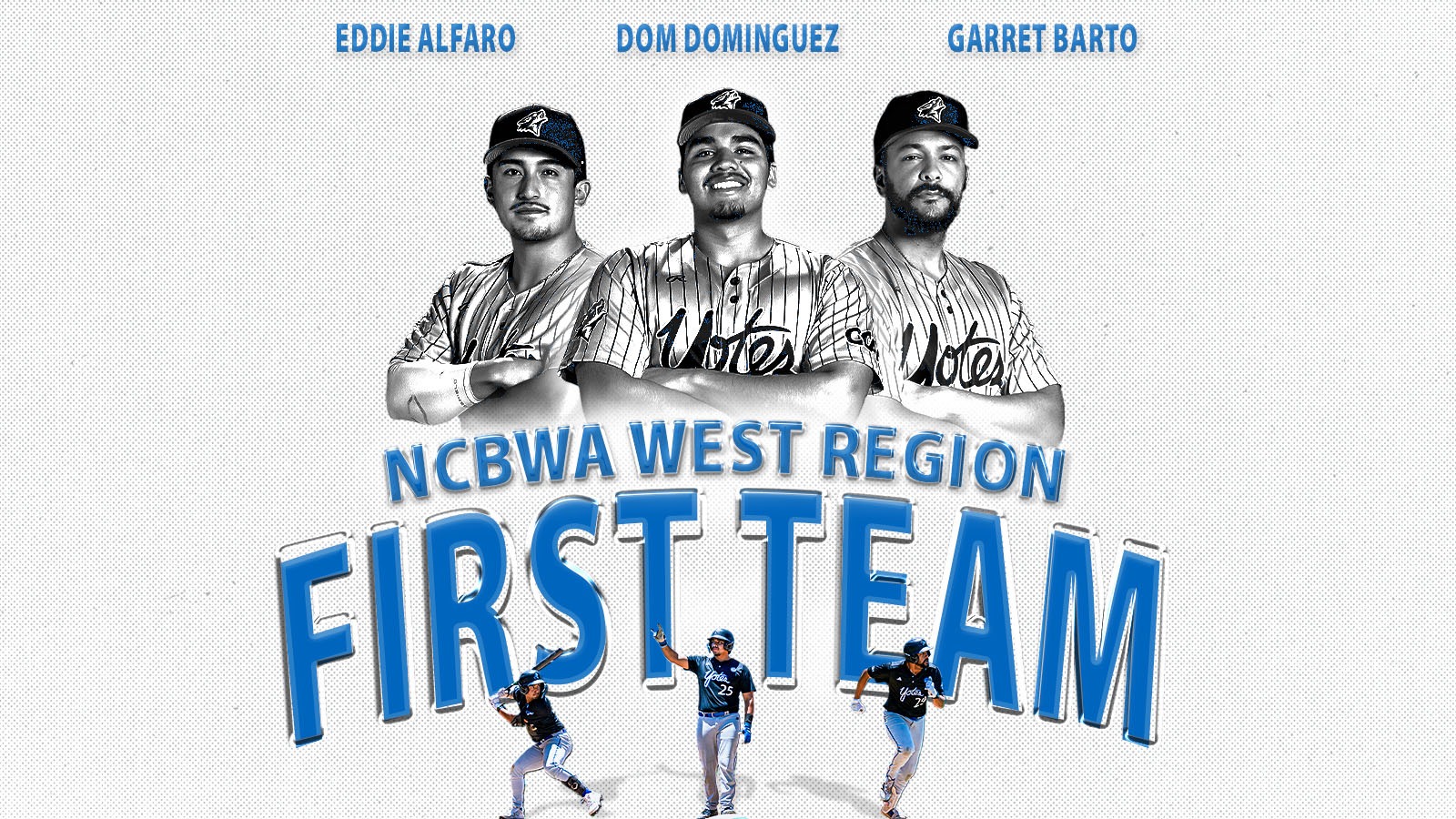 Baseball NCBWA