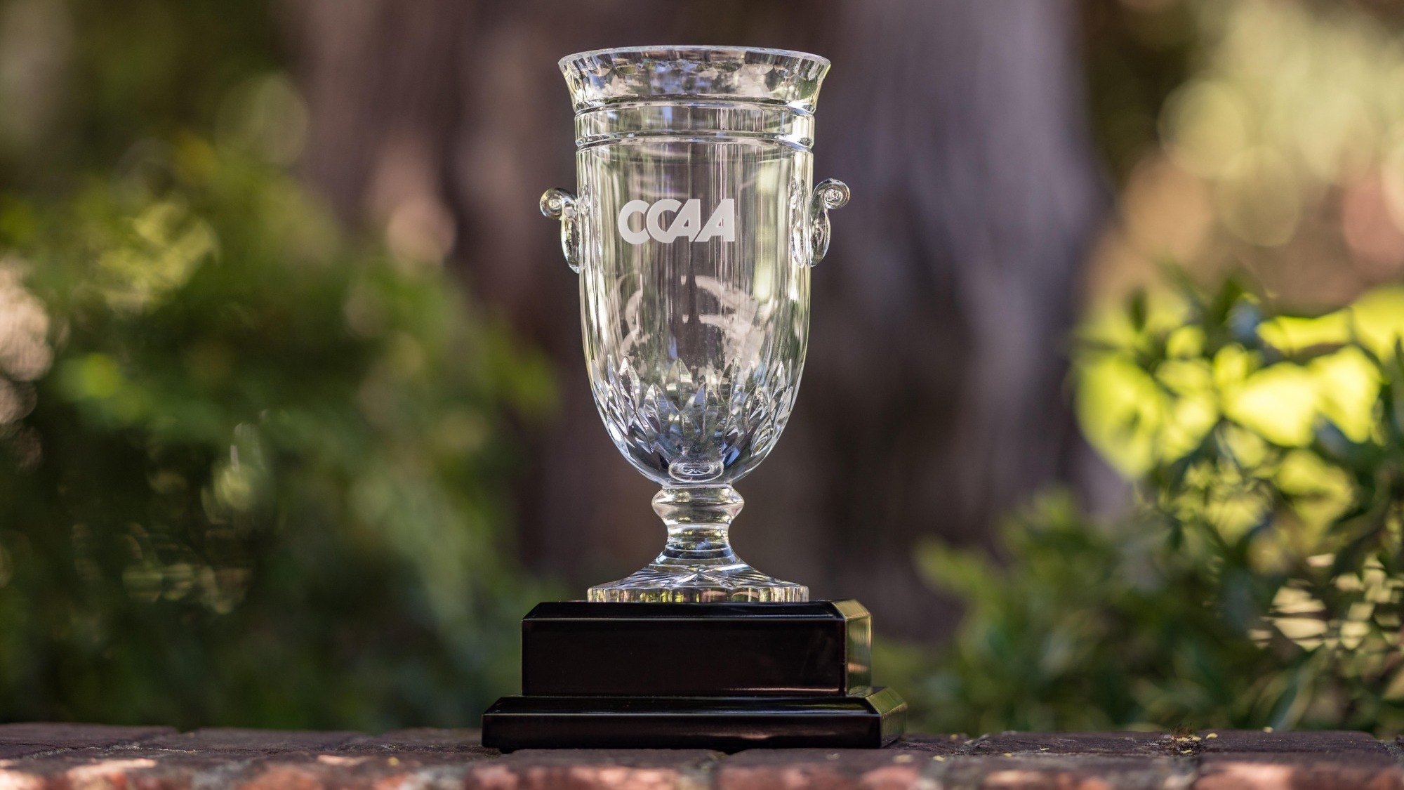 Commissioner's Cup