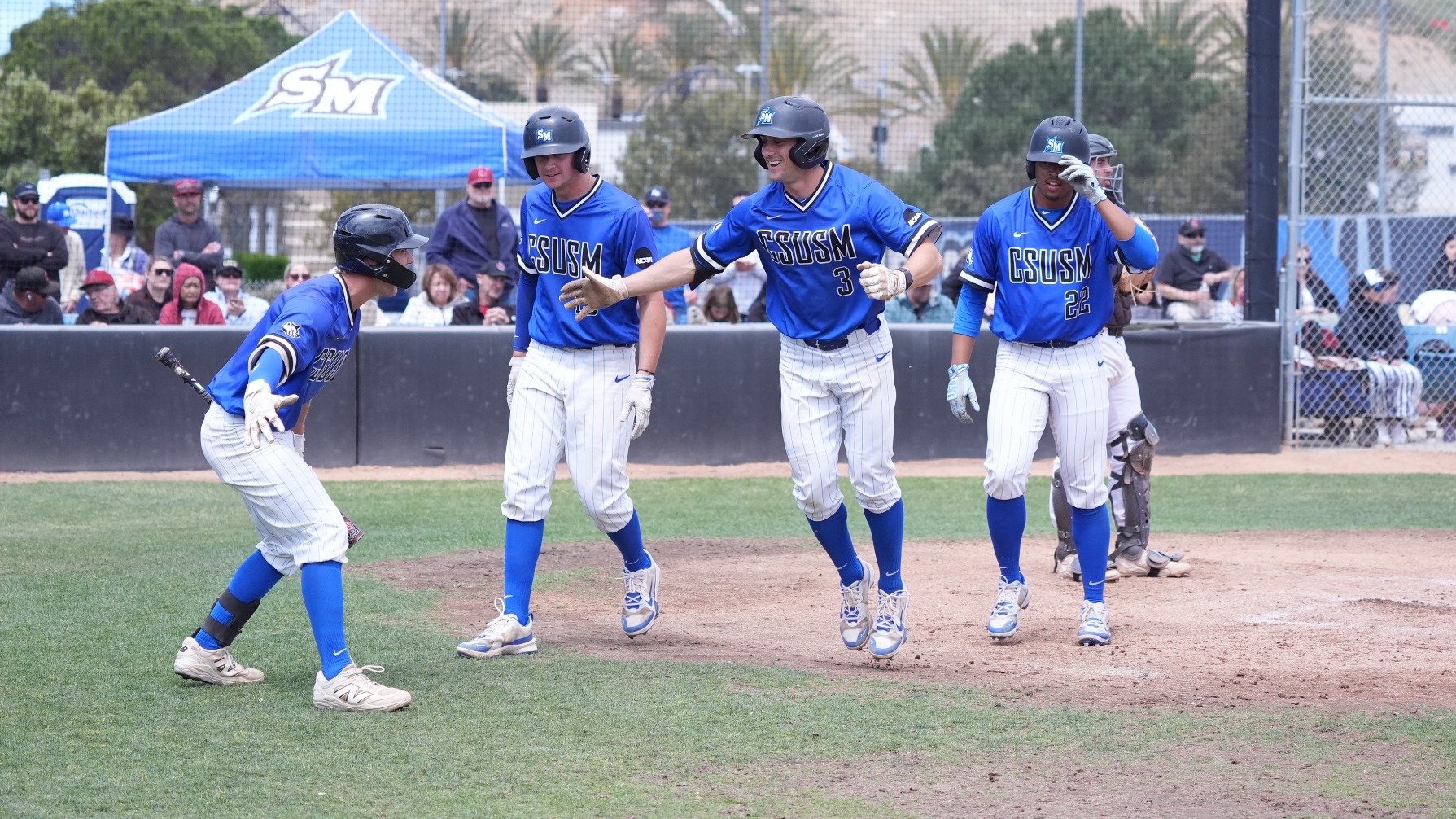 Marco Pirruccello Celebrating Home Run