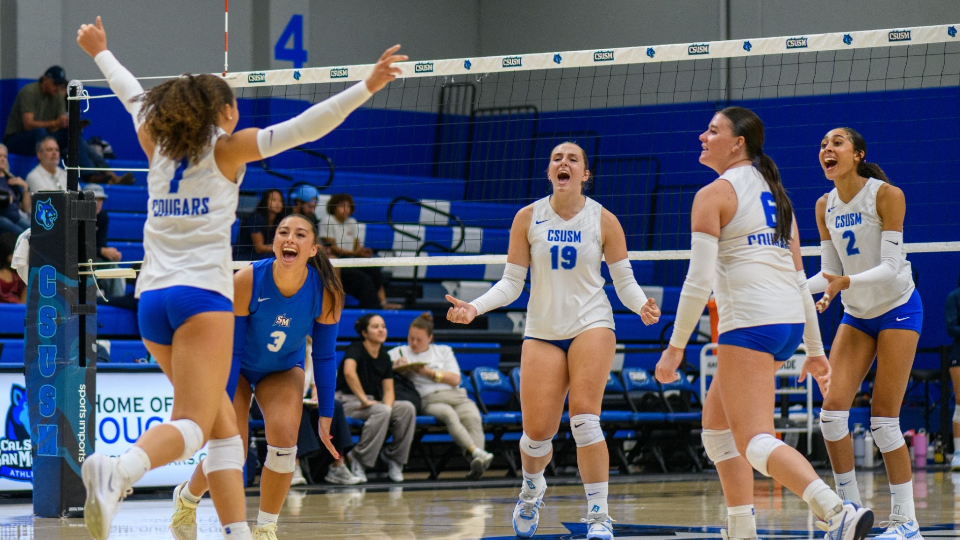 VB Celebration