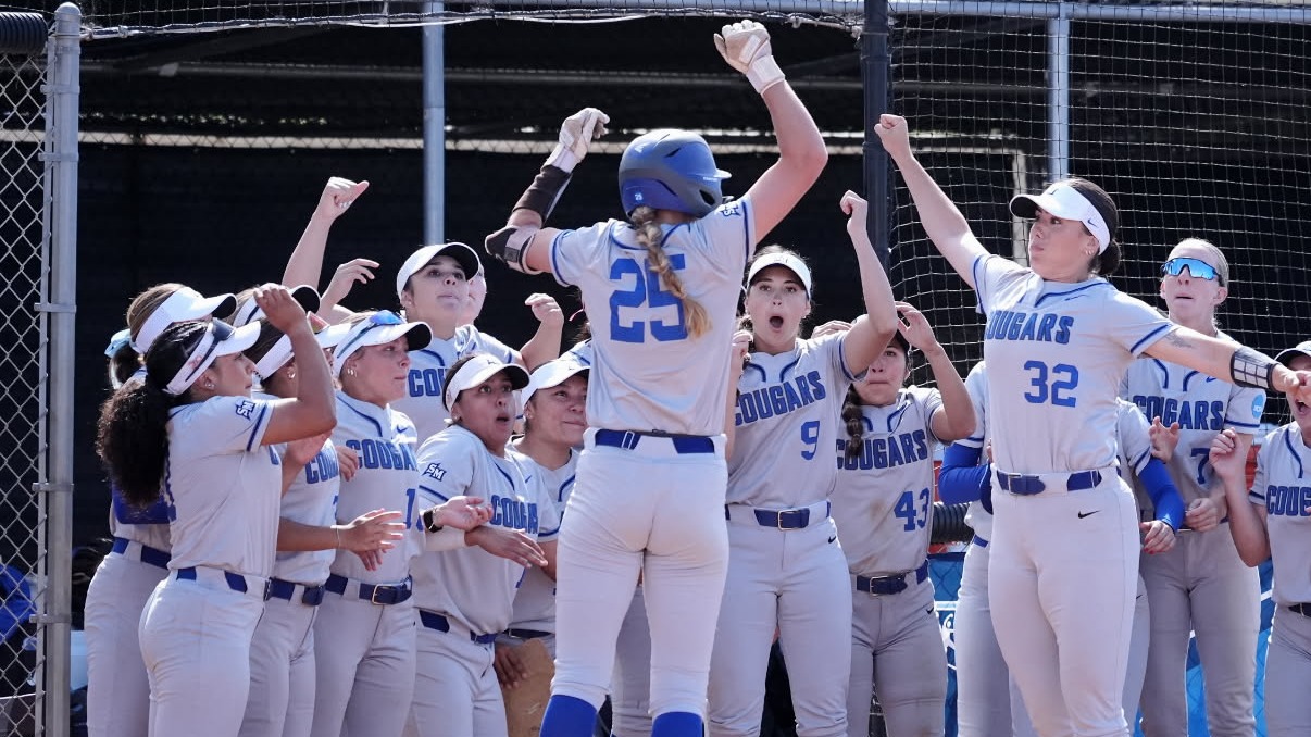 Home Run Celebration - Sarah Bull
