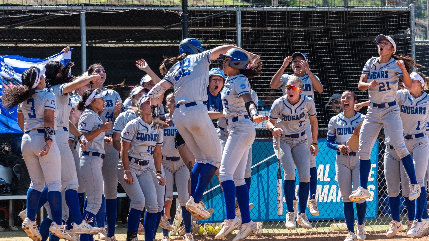 Home Run Celebration