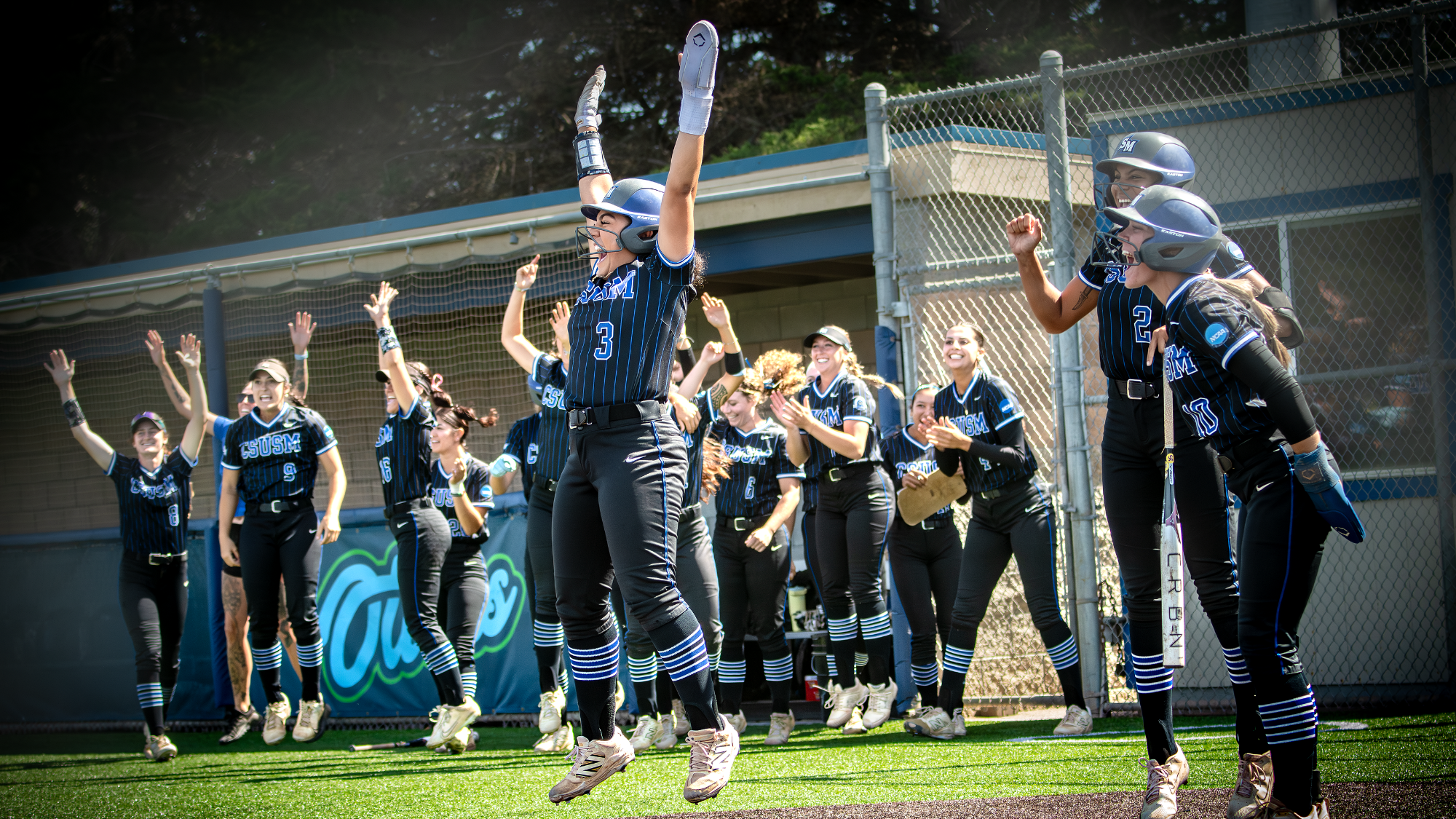 Softball Dugout Celebration