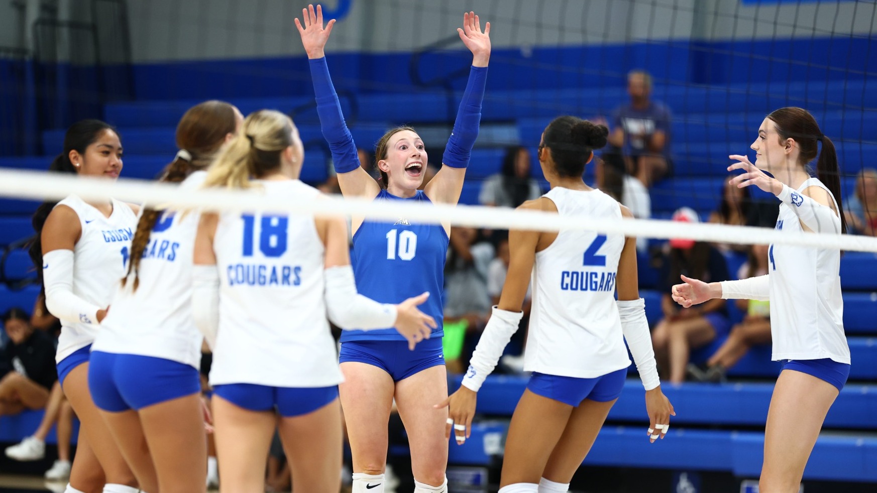 vb celebration