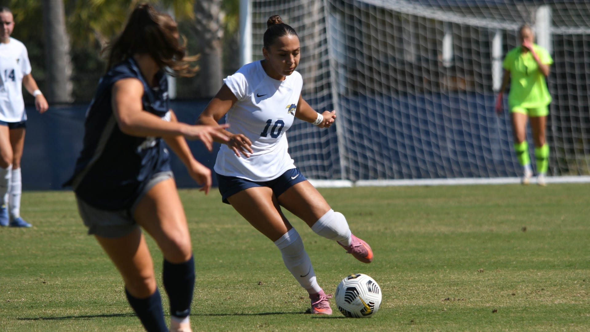 WSOC PC Preview