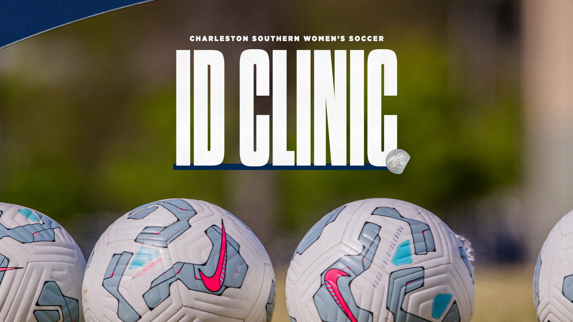 WSOC Summer ID Clinic