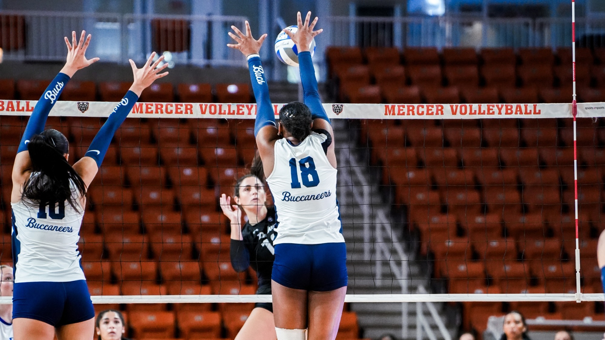 CSU VB VS GA STATE