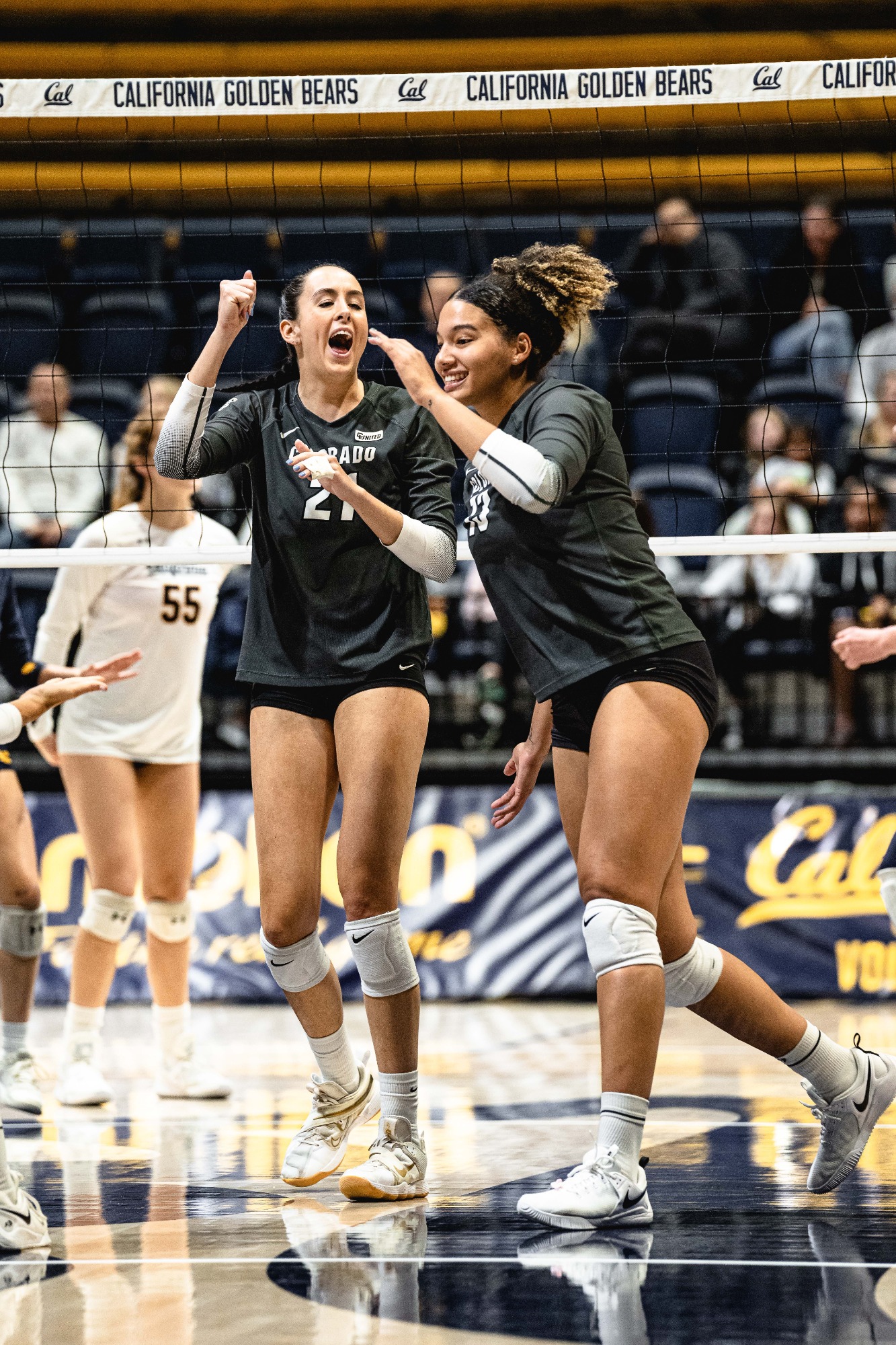 Sterling Parker Volleyball University of Colorado Athletics