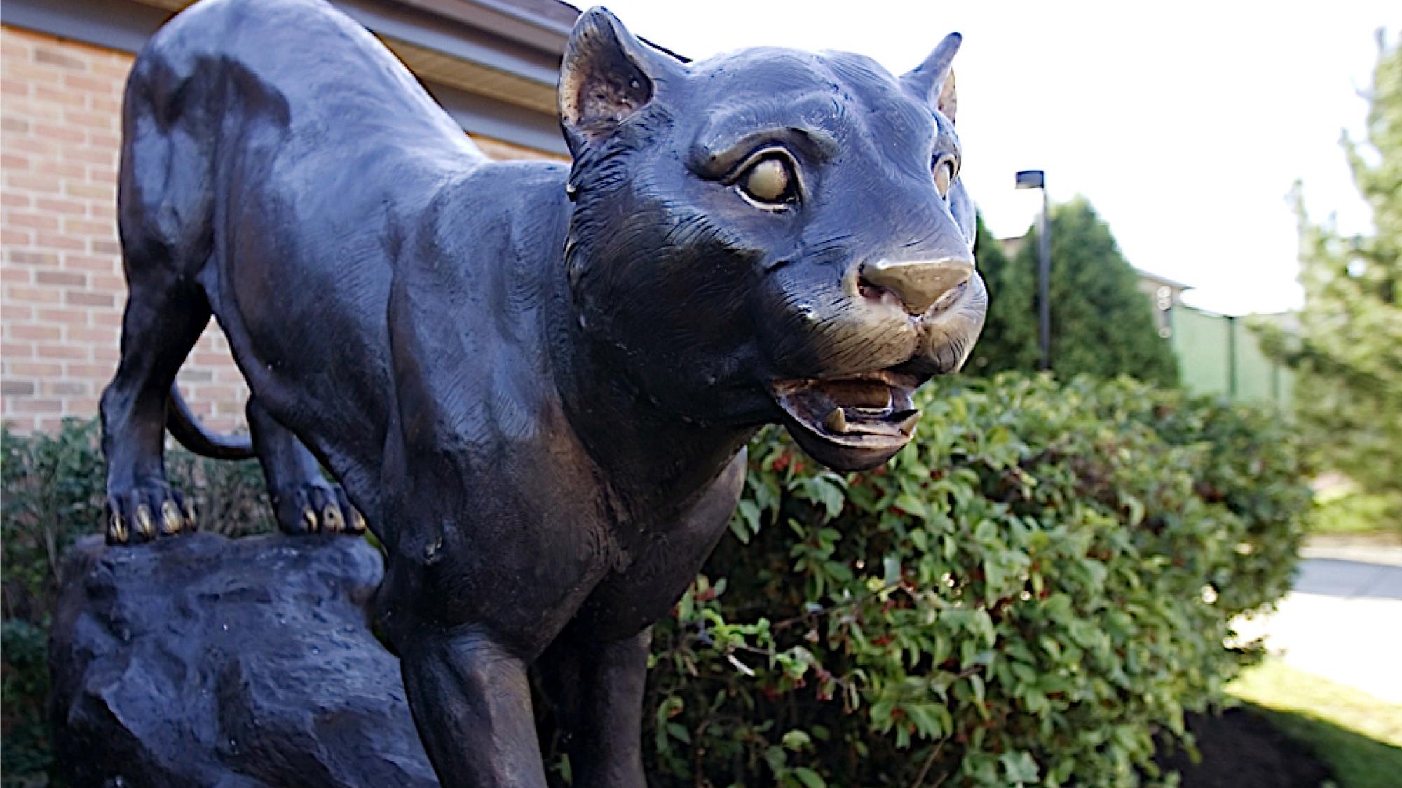Cougar Statue 