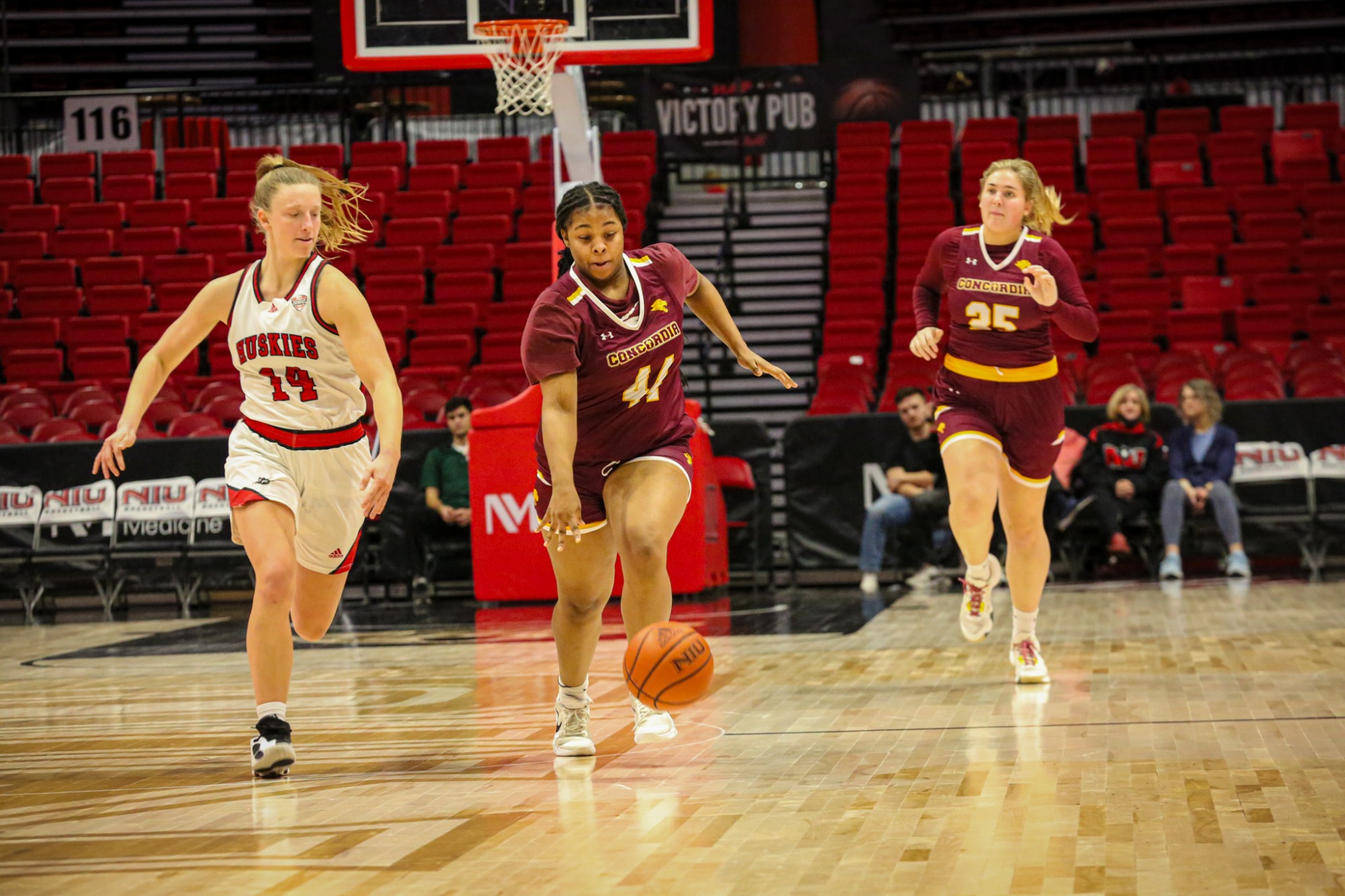 Women's Basketball Grounded by High Flying Eagles Concordia