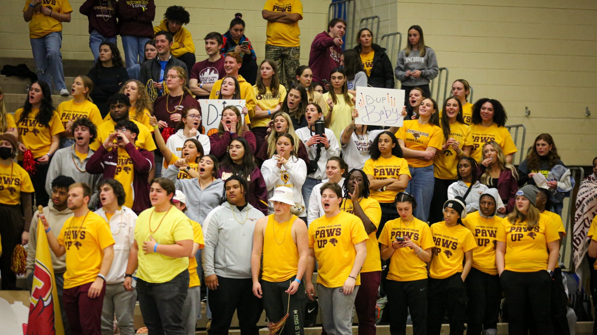 CIT 2024 Fans