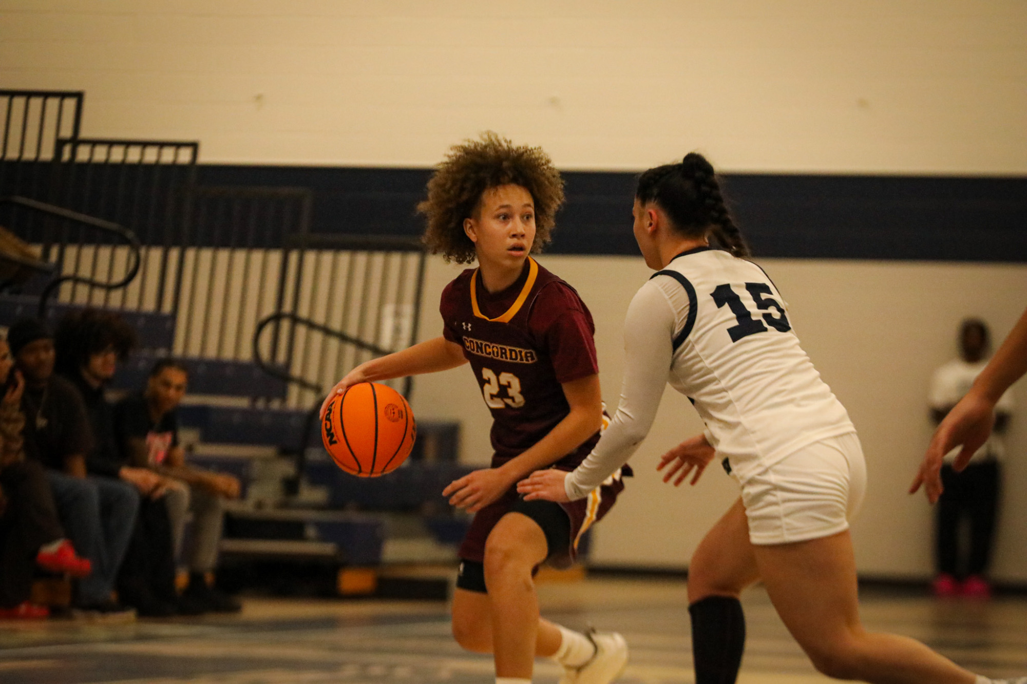 WBB vs North Central University
