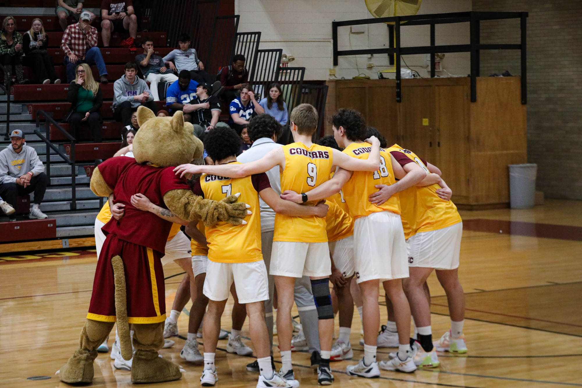 Men's Volleyball vs Dominican