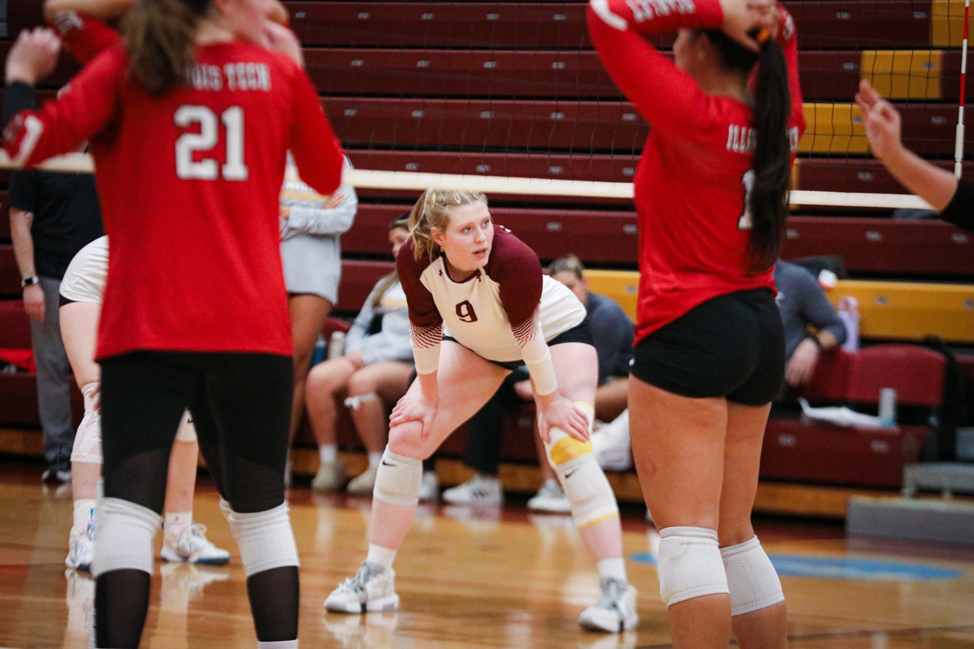 WVB vs IIT