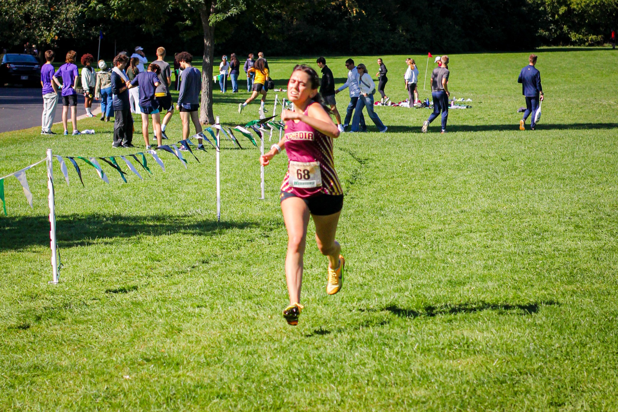 XC @ WLC