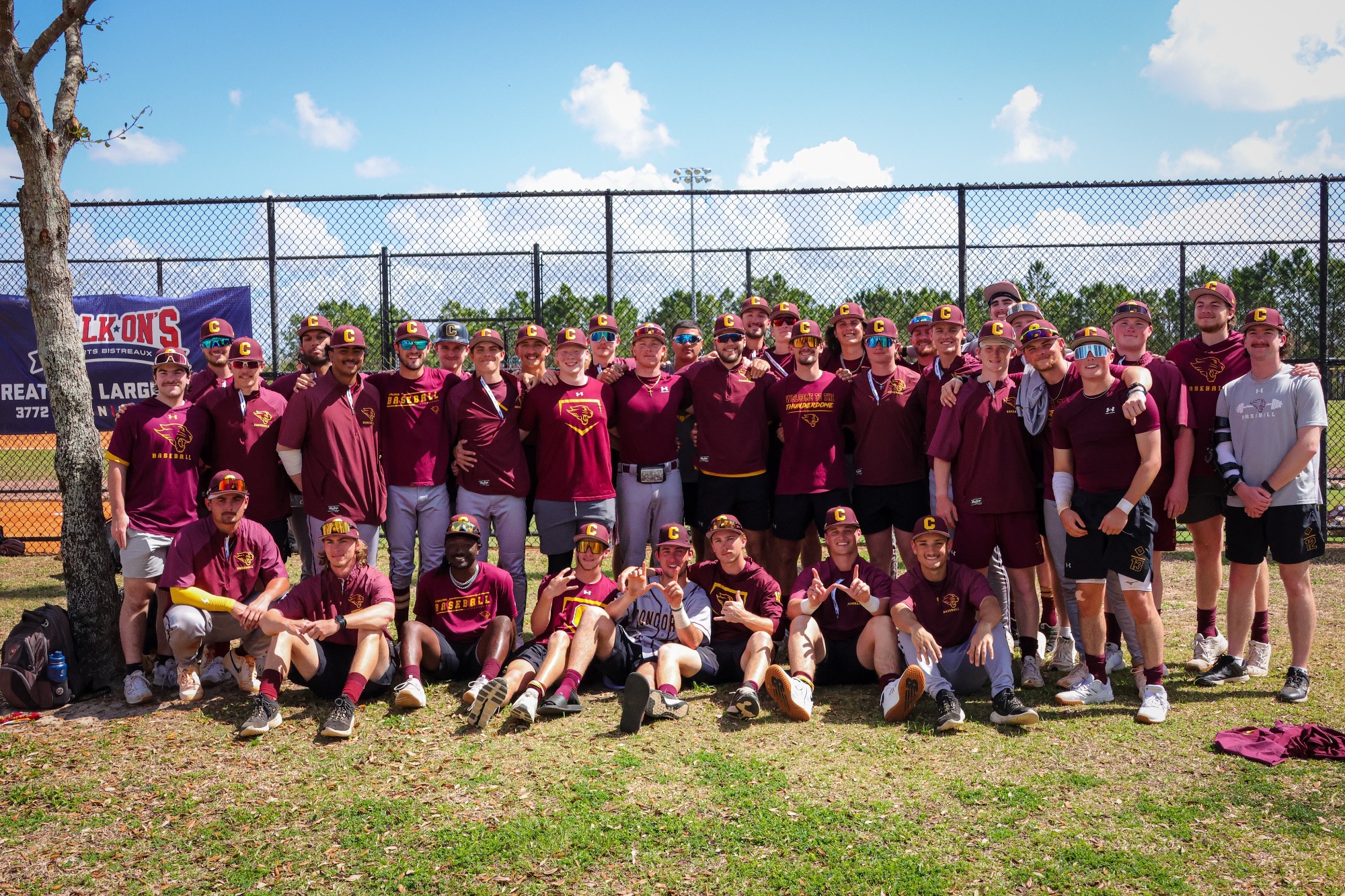 Cougar Baseball Florida 