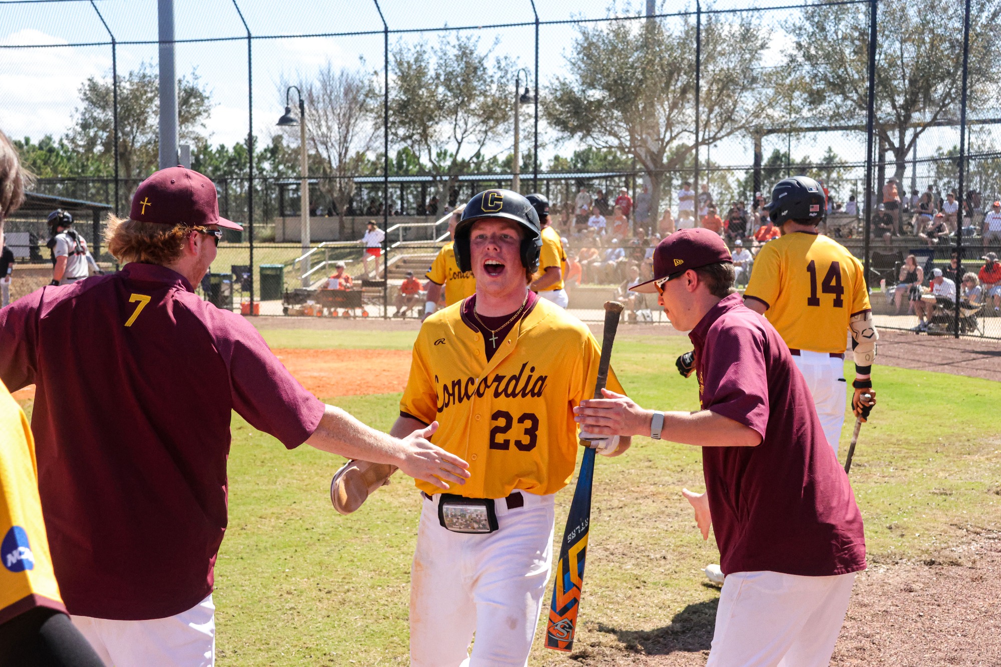 CUC Baseball vs Wartburg