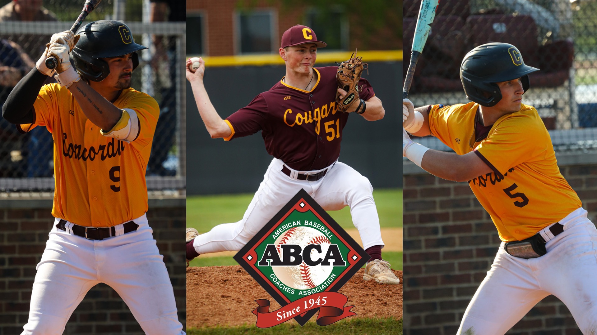 2026 ABCA/Rawlings All-Region