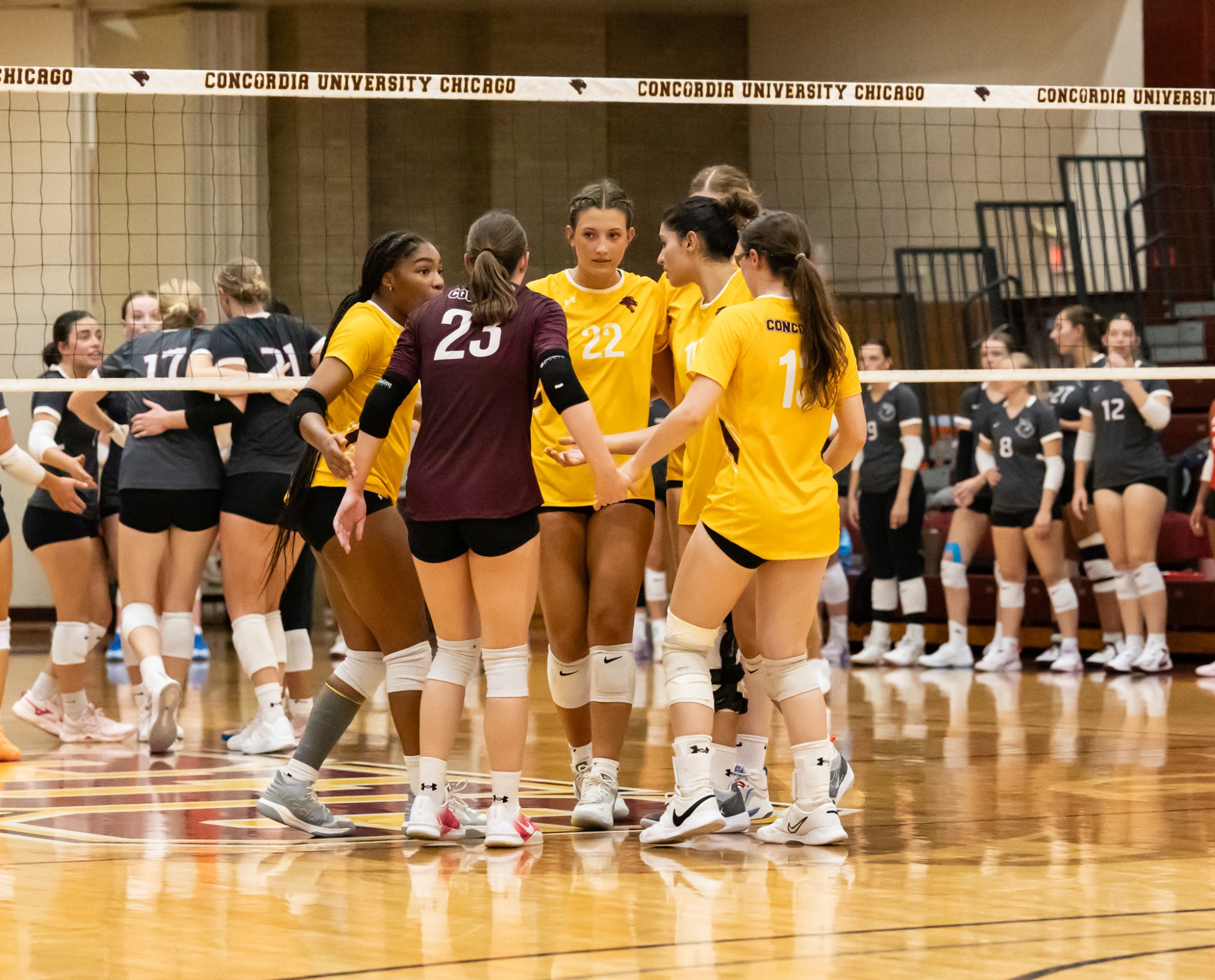 Women's Volleyball vs Bethany