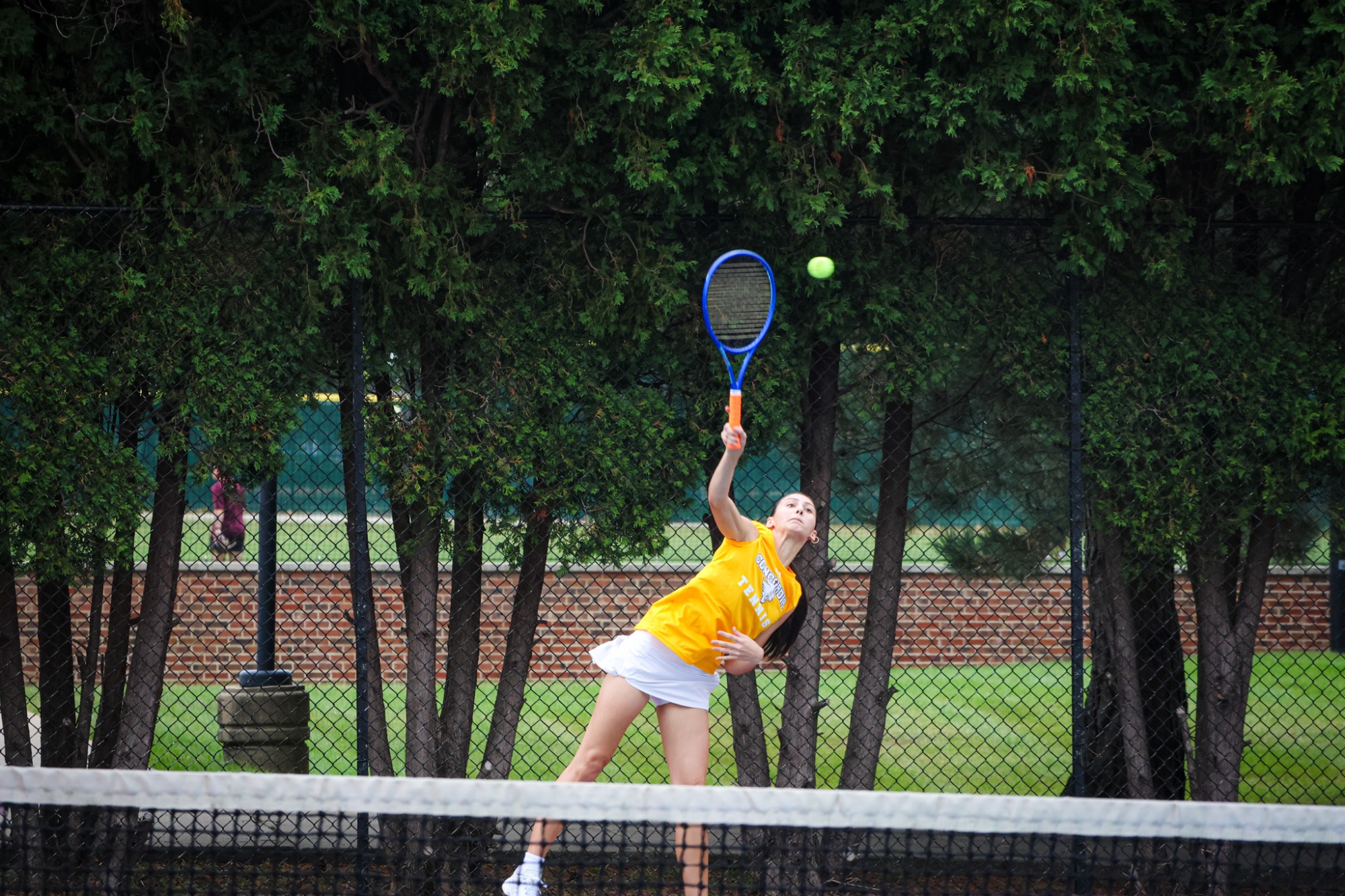 WTEN vs Ripon
