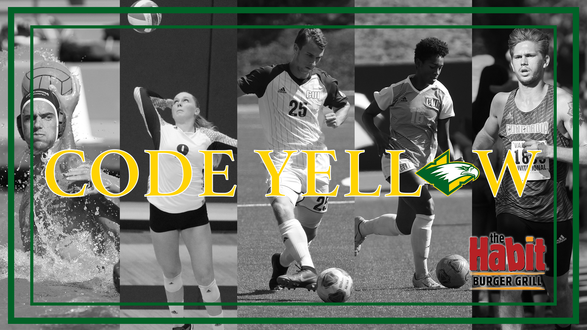 Code Yellow - Fall Sports