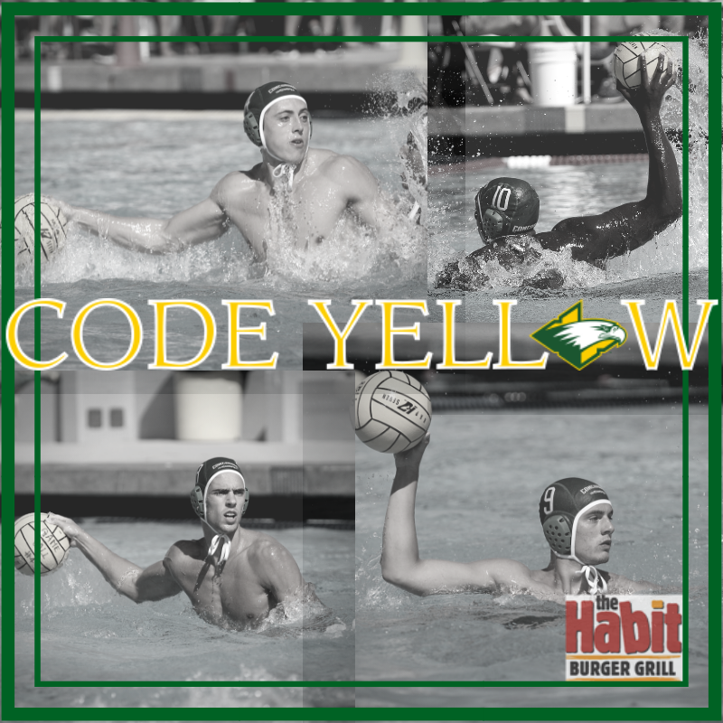 Code Yellow - Men's Water Polo