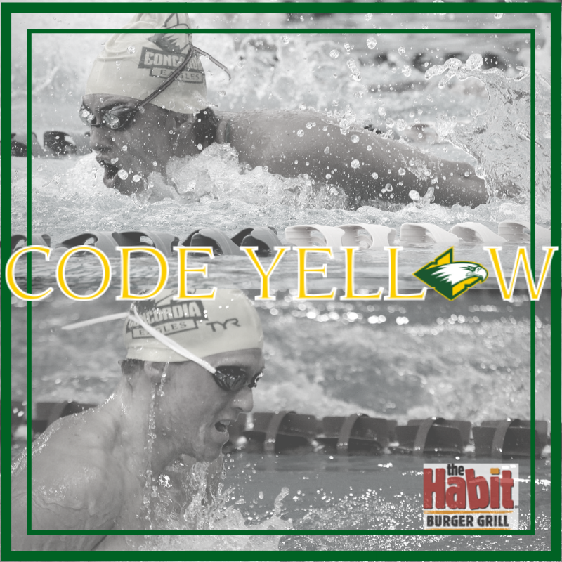 Code Yellow Swimming Diving