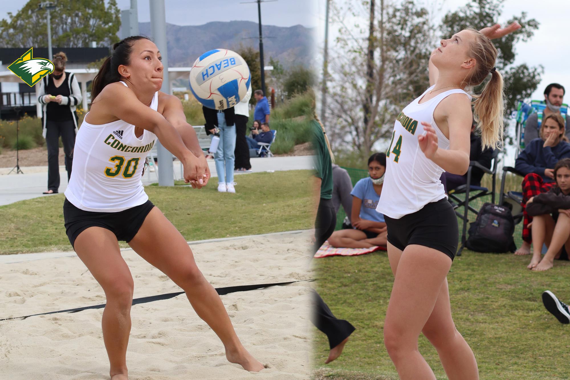 bvb eagles of the week