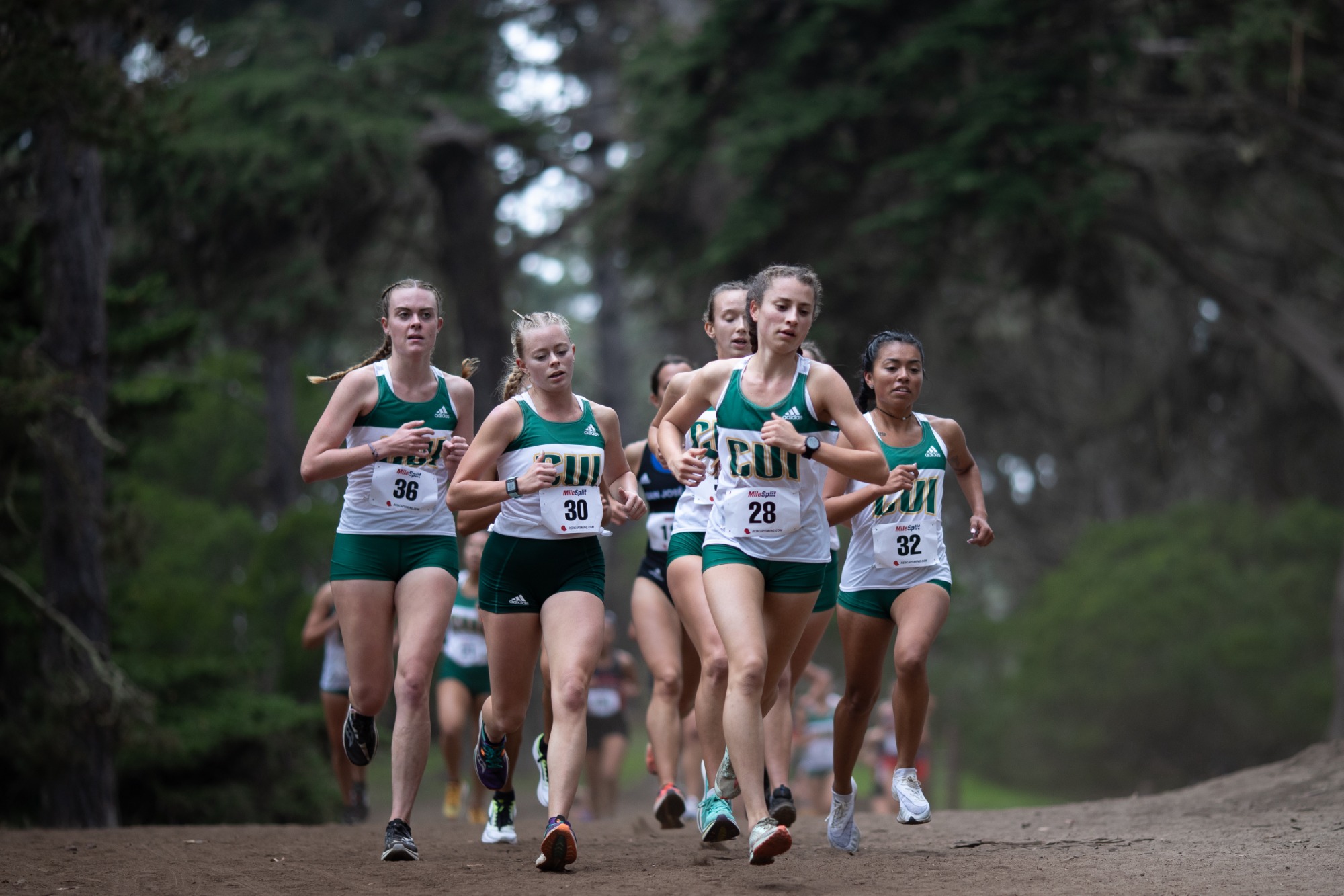 Women's XC pack