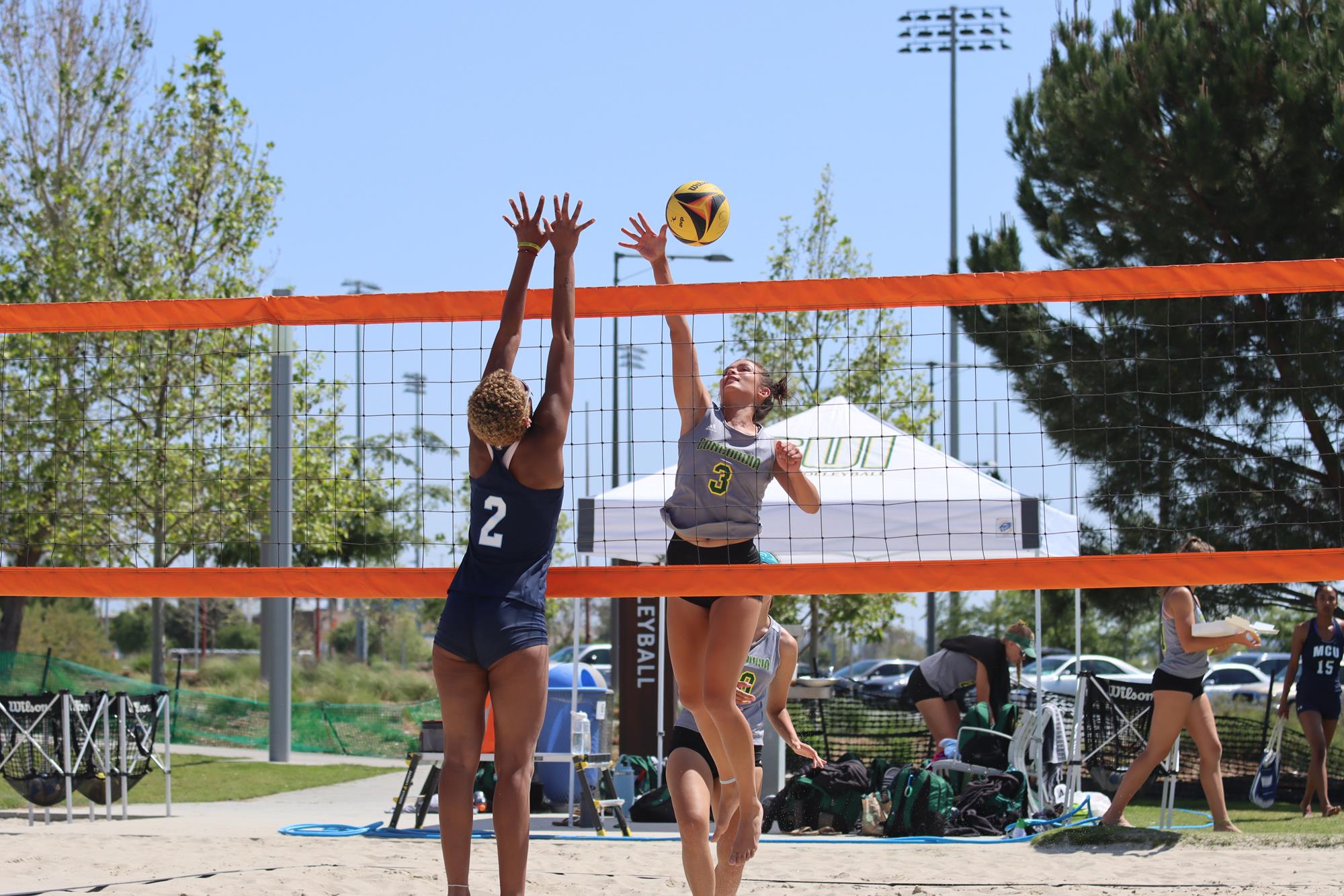 Hailee Ryan Beach Volleyball Concordia University Irvine Athletics