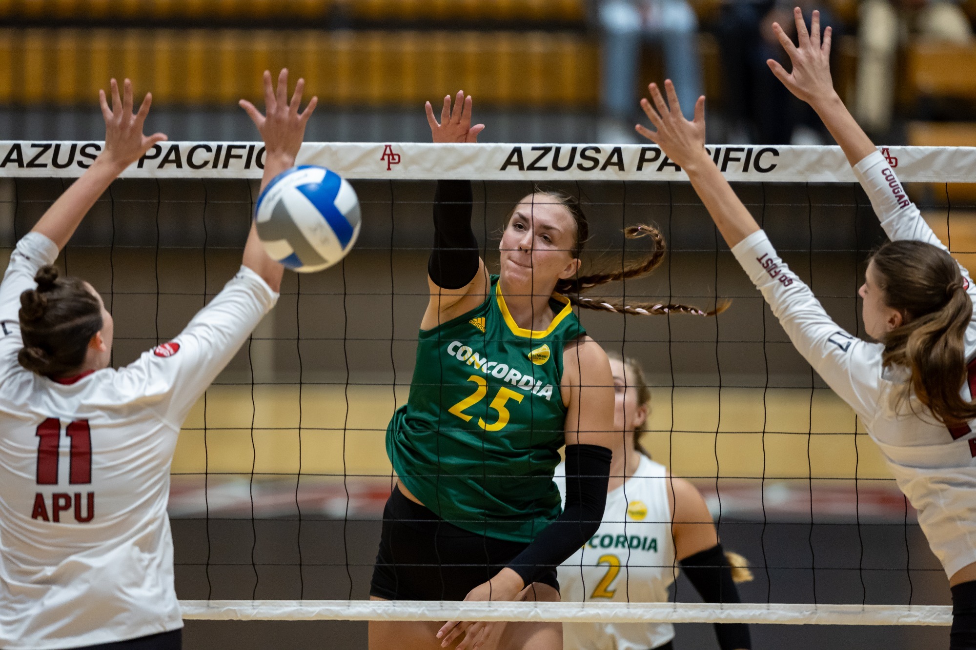 Halli Hooks Women's Volleyball Concordia University Irvine Athletics