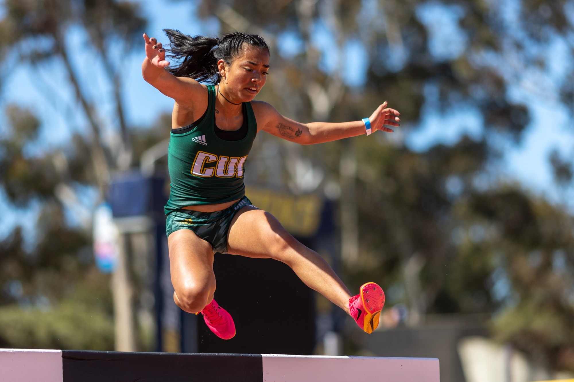 Adrianna Gil Steeplechase