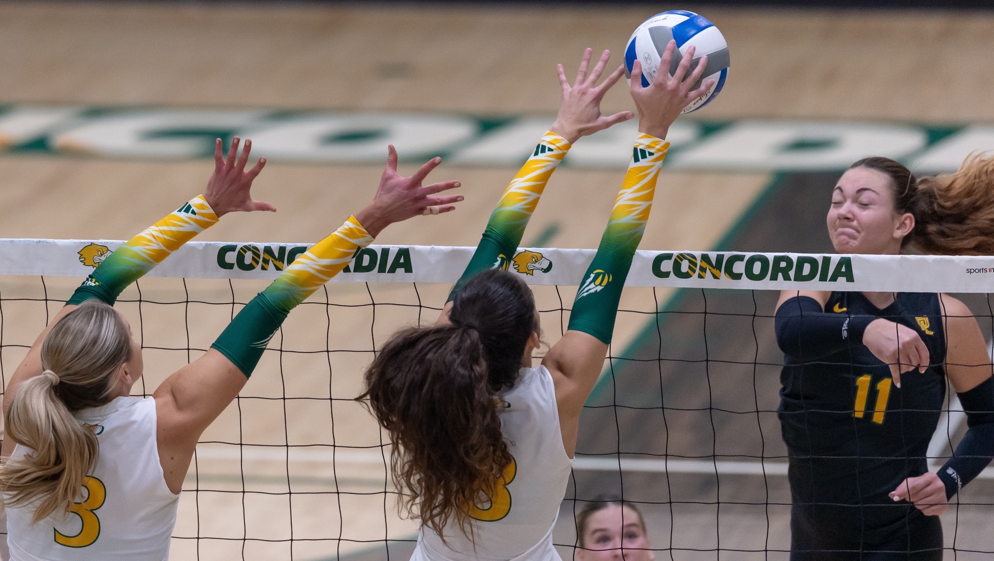 Women's volleyball Vanguard