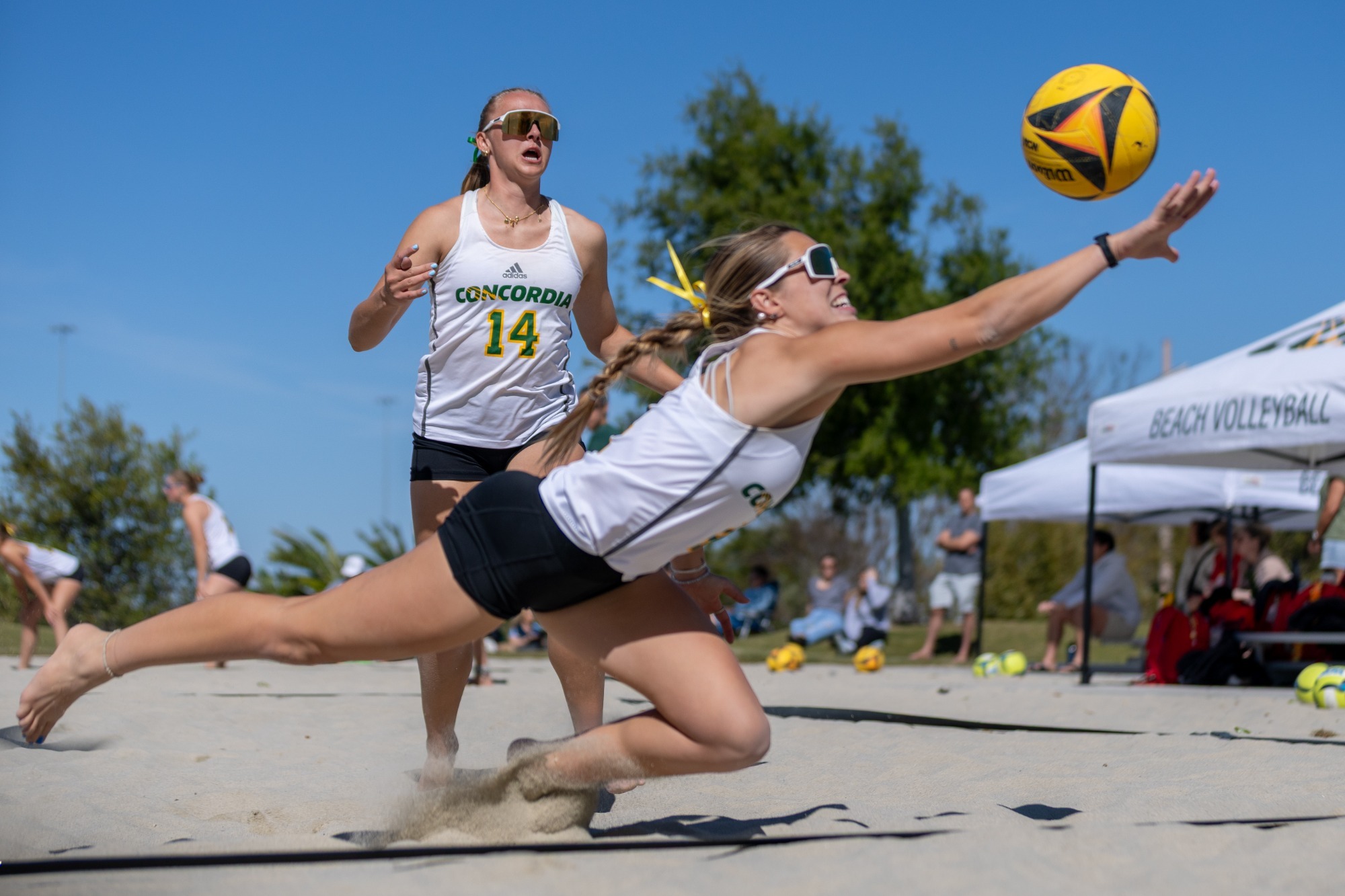 eva prewitt and olivia medina