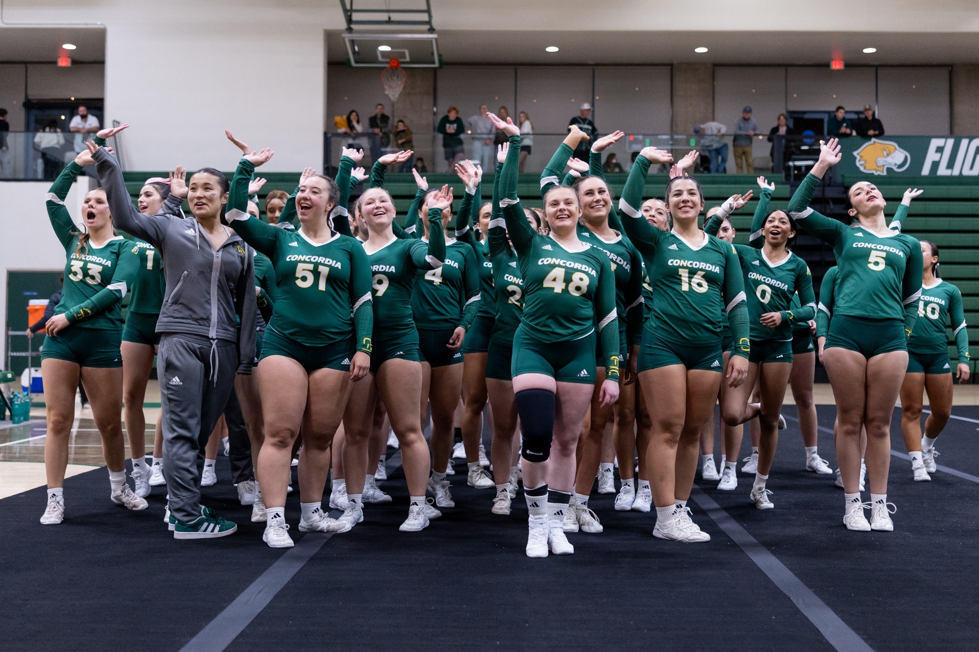 Stunt captures perfect score vs uc davis