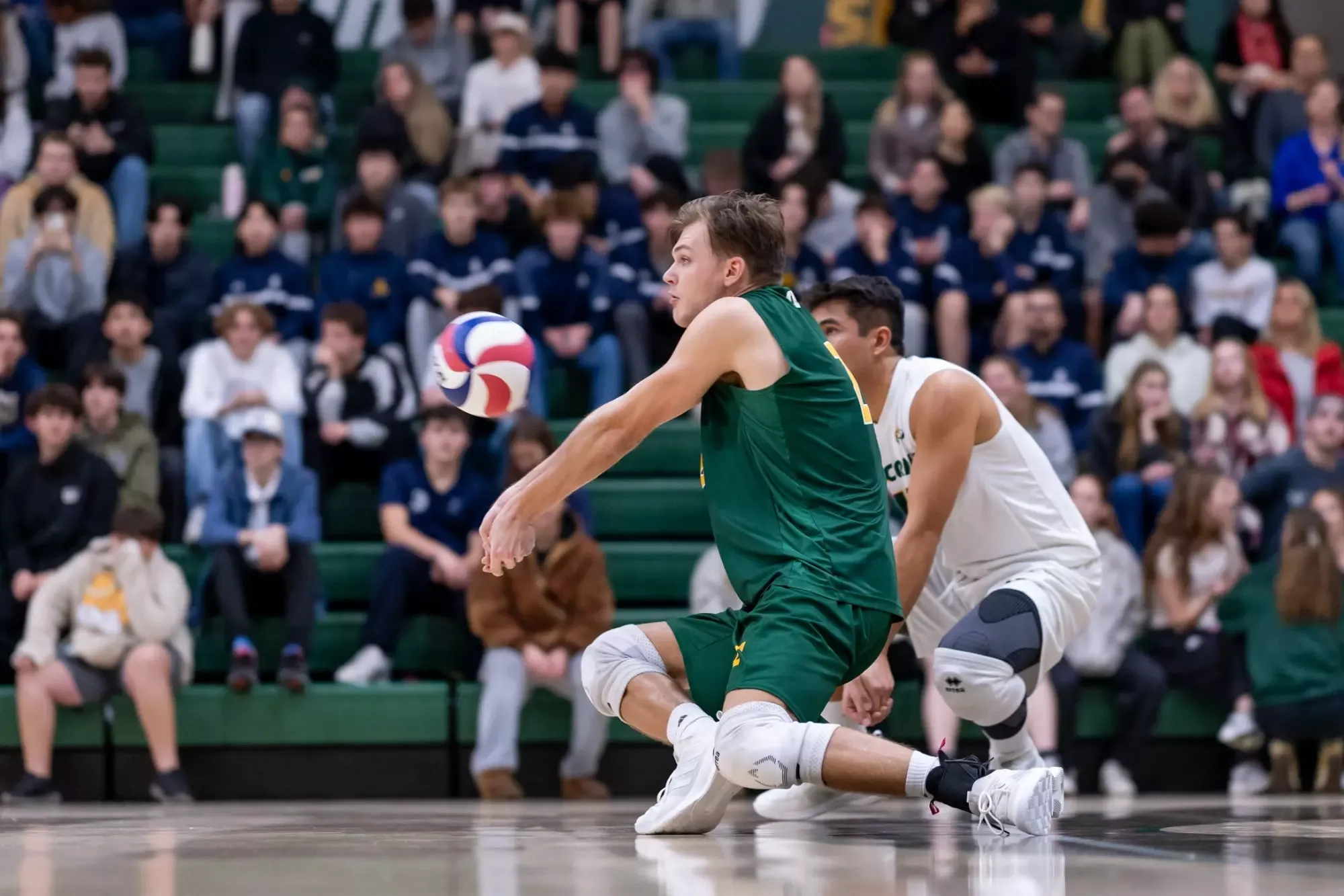 ties cornelissen and cruse aea