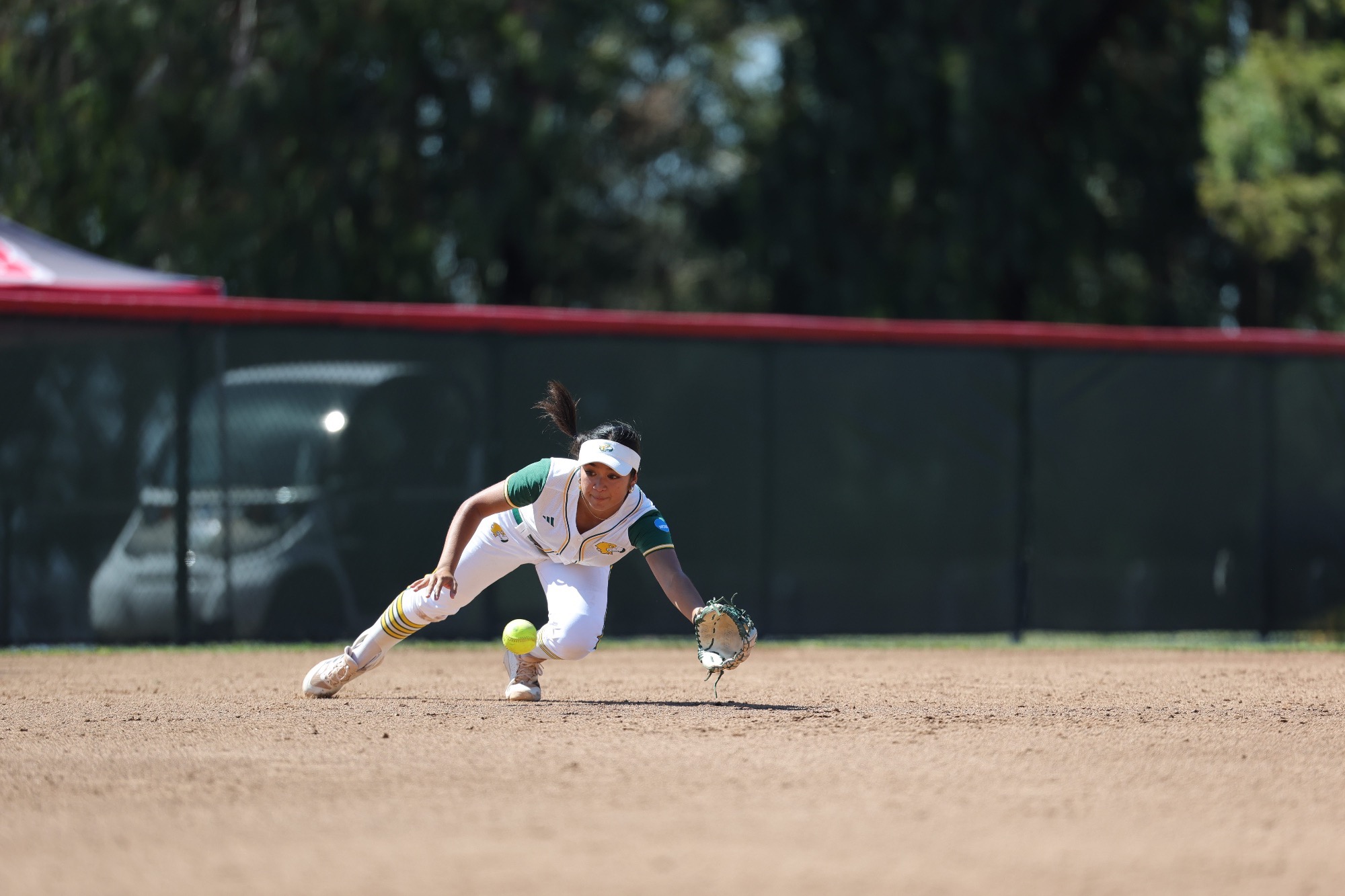 Kaliya Yco Diving Catch